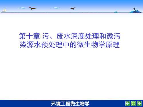 第十章 污废水深度处理和微污染源水预处理中的微生物学原理