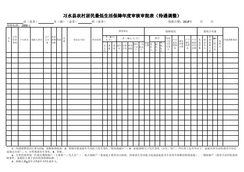 农村低保年度审核审批表(待遇调整)