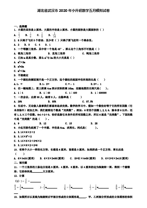 湖北省武汉市2020年小升初数学五月模拟试卷