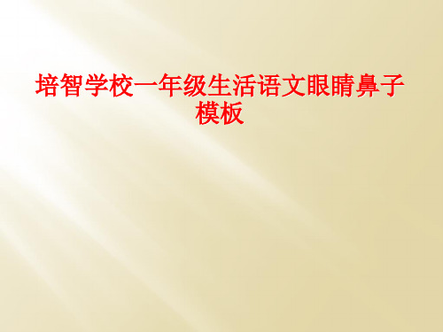 培智学校一年级生活语文眼睛鼻子模板