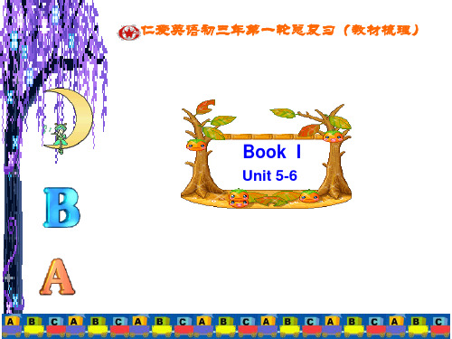 仁爱英语初三年第一轮总复习(教材梳理)Book 1 U5-6