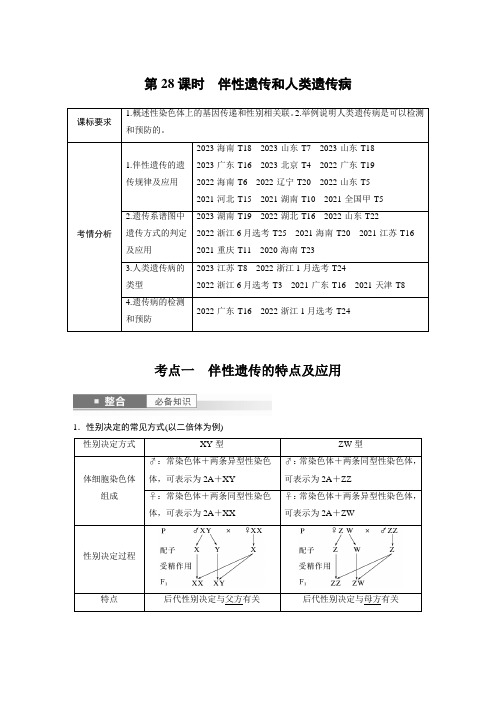 高考生物 第五单元 第28课时 伴性遗传和人类遗传病