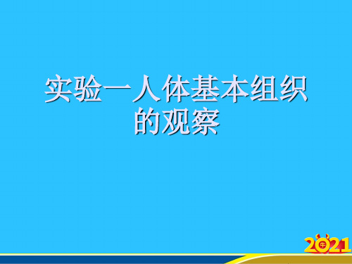 实验一人体基本组织的观察