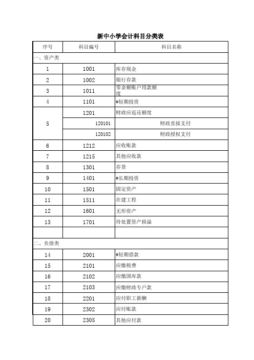 中小学会计科目分类