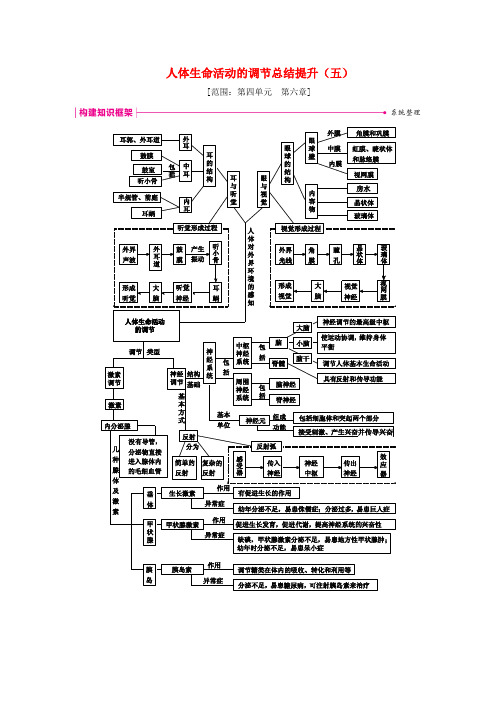 七年级生物下册 第四单元 第六章 人体生命活动的调节总结提升(五)(新版)新人教版