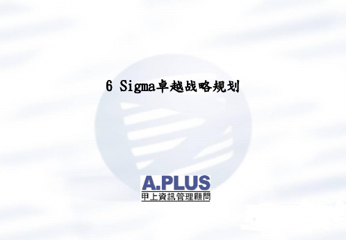 6Sigma卓越战略规划教材(PPT 55页)