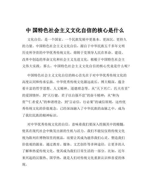 中 国特色社会主义文化自信的核心是什么