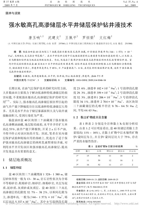 强水敏高孔高渗储层水平井储层保护钻井液技术_唐玉响