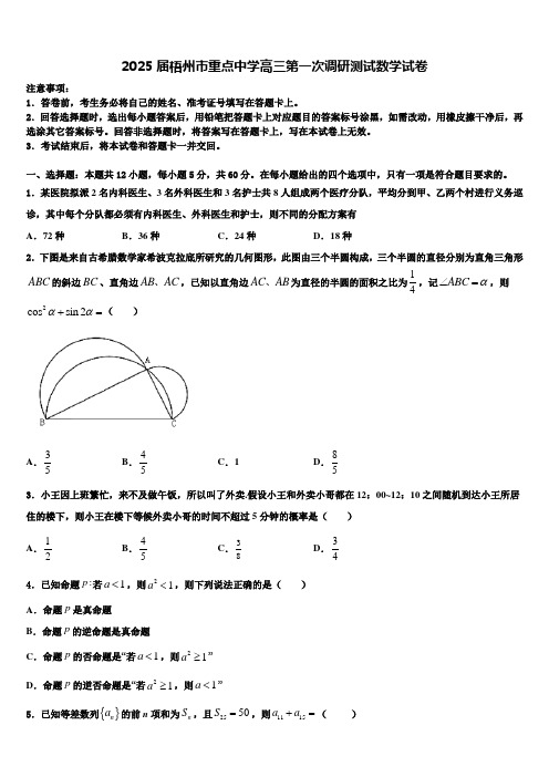 2025届梧州市重点中学高三第一次调研测试数学试卷含解析