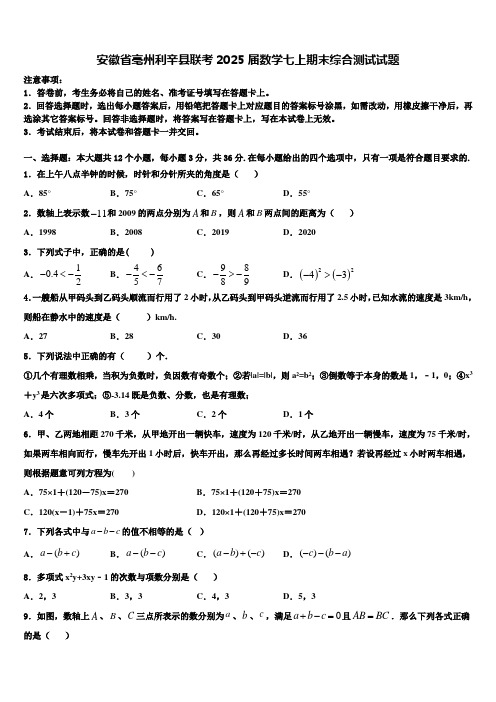 安徽省亳州利辛县联考2025届数学七上期末综合测试试题含解析