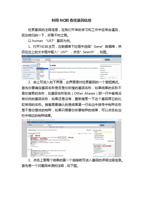 利用NCBI查找基因信息