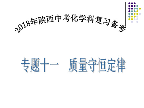 化学专题复习:质量守恒定律 (共17张PPT)