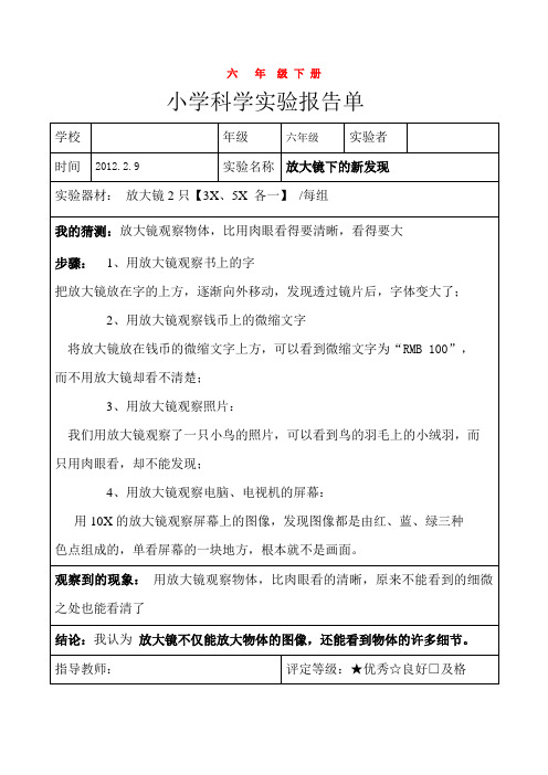 六年级下册科学实验报告