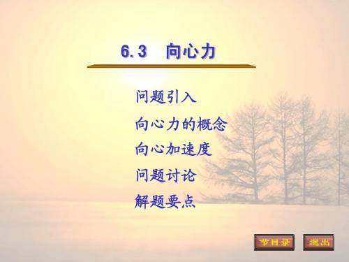 6.3  向心力