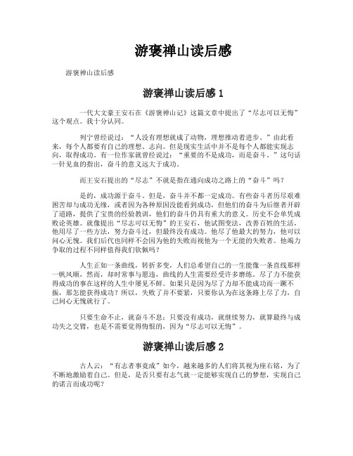 游褒禅山读后感