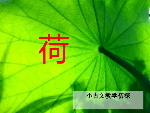 小古文《荷》教学