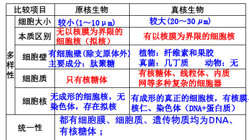 2-1 细胞中的元素和化合物 课件【新教材】人教版(2019)高中生物必修一