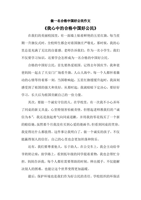 做一名合格中国好公民作文