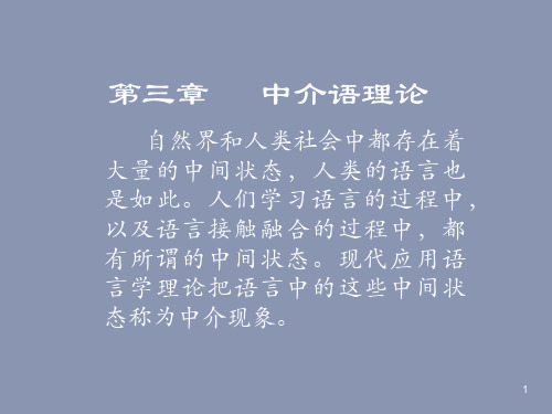 中介语理论PPT课件