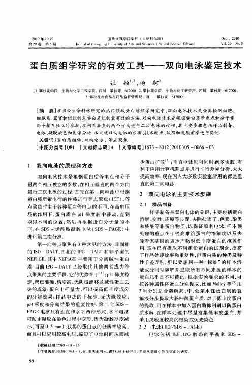 蛋白质组学研究的有效工具——双向电泳鉴定技术