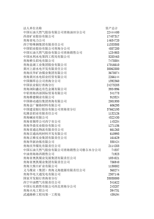 青海百强企业