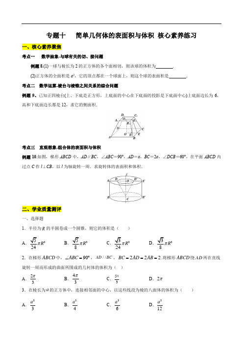 专题10 简单几何体的表面积与体积(核心素养练习)(原卷版)