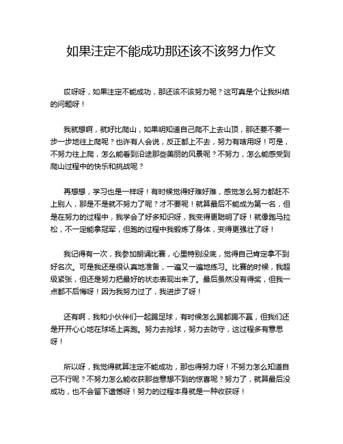 如果注定不能成功那还该不该努力作文