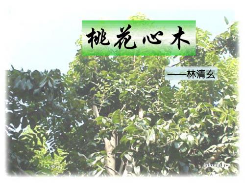 人教版语文六年级下册《桃花心木》课件