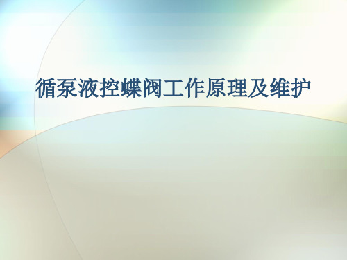 循泵液控蝶阀工作原理及维护