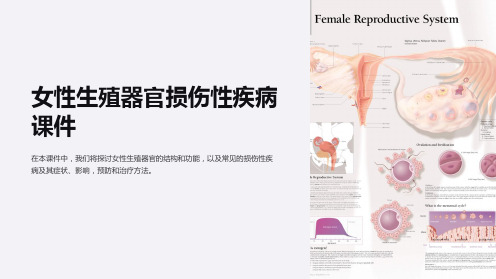 女性生殖器官损伤性疾病课件