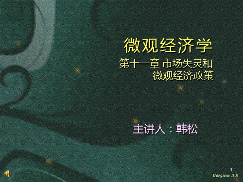 高鸿业微观经济学第十一章-市场失灵和微观经济政策PPT课件