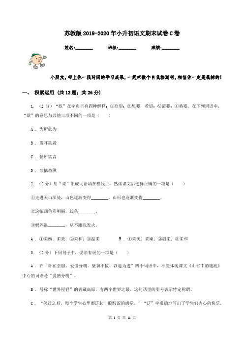 苏教版2019-2020年小升初语文期末试卷C卷