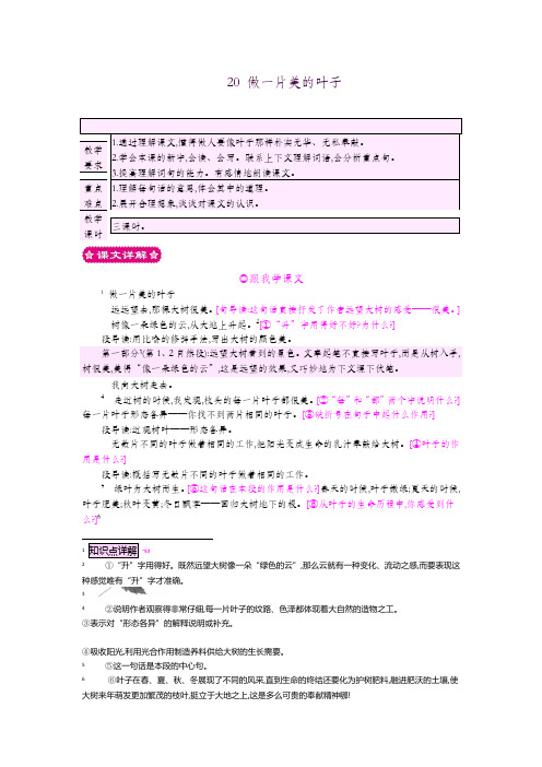 新苏教版语文三年级上册20 做一片美的叶子教案