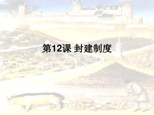 封建制度ppt 华东师大版