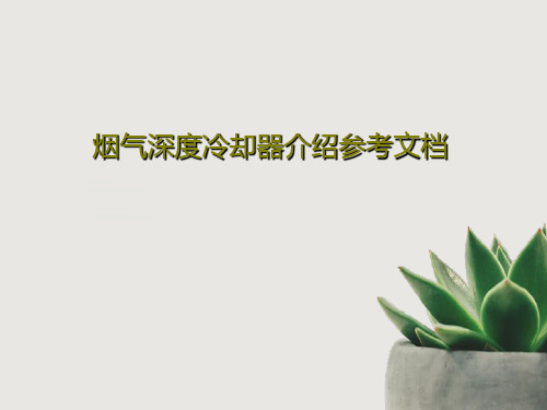 烟气深度冷却器介绍参考文档58页PPT