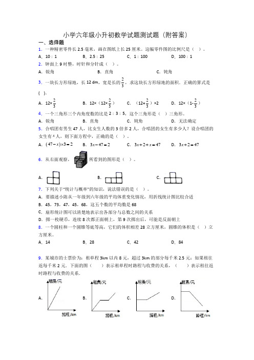 小学六年级小升初数学试题测试题(附答案)