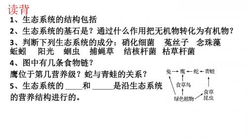 生态系统的结构和能量流动