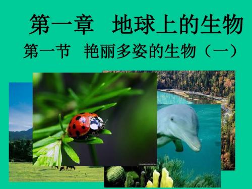 艳丽多姿的生物(共61张PPT)