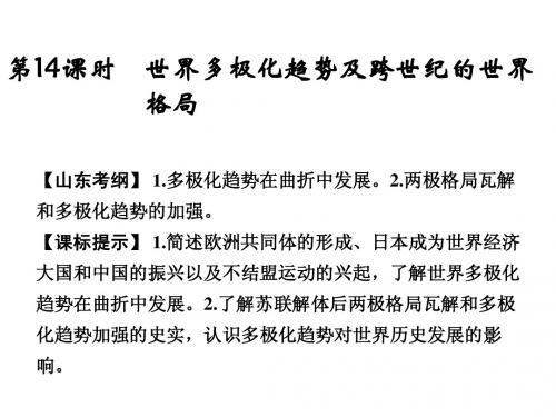 2015高考历史(山东)一轮课件：第14课时 世界多极化趋势及跨世纪的世界格局
