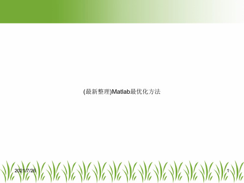 (最新整理)Matlab最优化方法