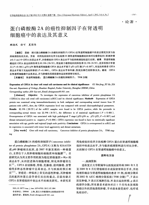 蛋白磷酸酶2A的癌性抑制因子在肾透明细胞癌中的表达及其意义