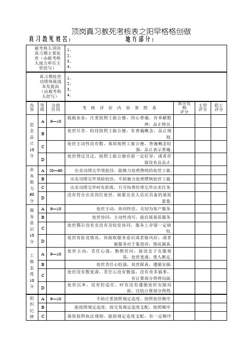 顶岗实习生综合评分表