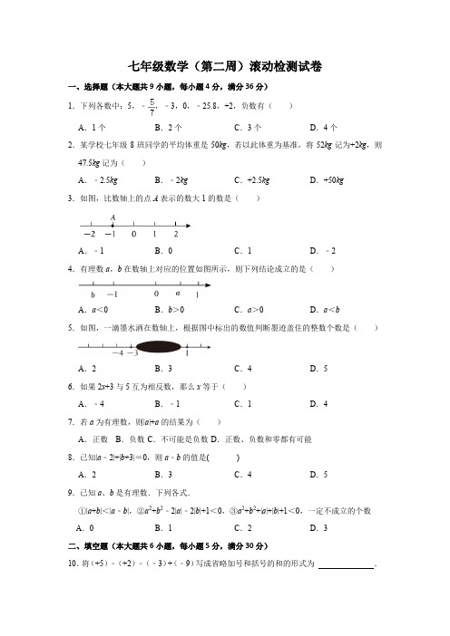 七年级数学第二周滚动检测试卷