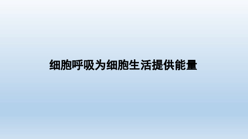 浙科版2019生物必修134 细胞呼吸为细胞生活提供能量 课件共28张