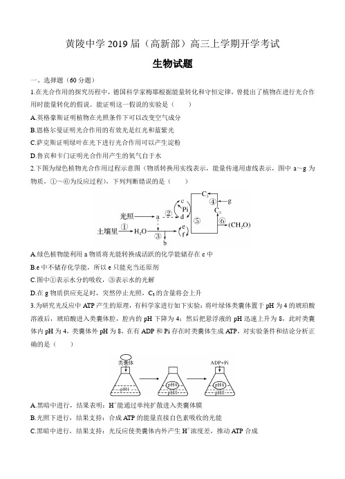 陕西省黄陵中学(高新部)高三生物2019届上学期开学考试 生物