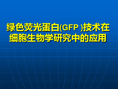 绿色荧光蛋白(GFP)技术在细胞生物学研究中的应用教材