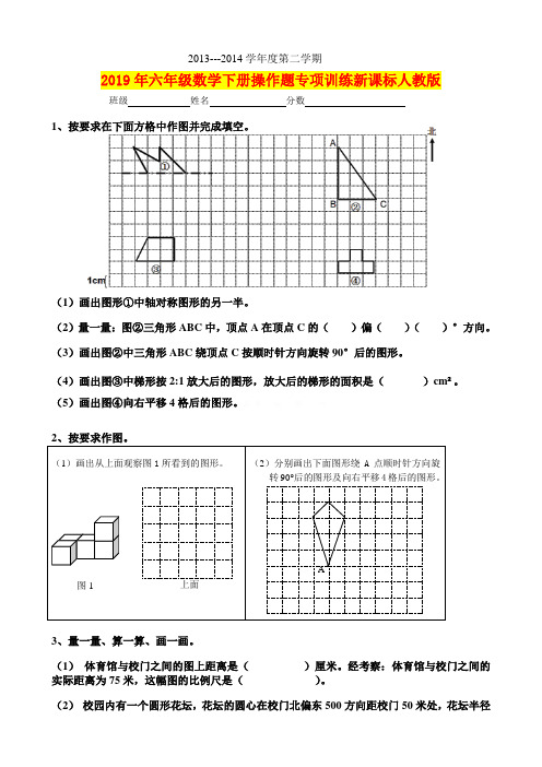 2019年六年级数学下册操作题专项训练新课标人教版