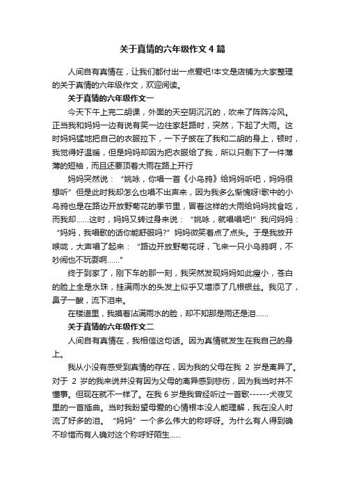 关于真情的六年级作文4篇