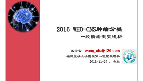 最新精品医学研究汇报-2016 WHO-CNS肿瘤分类——胶质瘤变更浅析