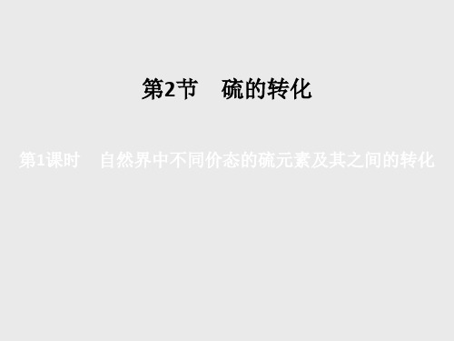 自然界中不同价态的硫元素及其之间的转化